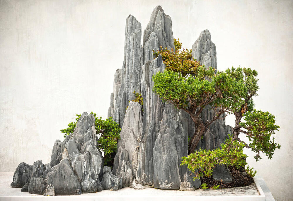 Source photograph: grey rock formations with small trees growing from them.